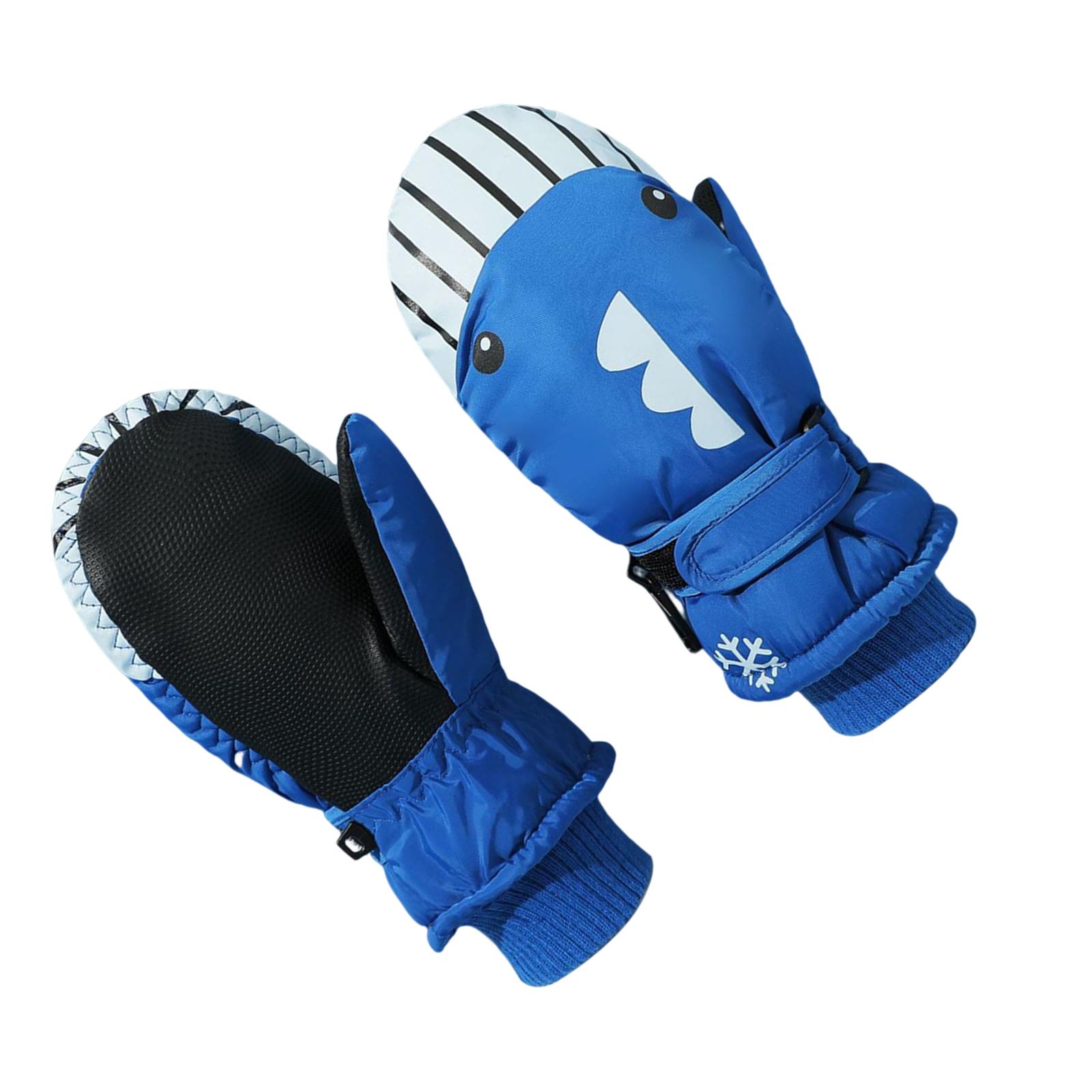 Wanten geïsoleerd, draagbaar,  - Snow Glove Insulated recensie en prijs